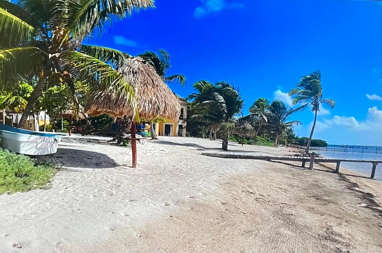 Casa Paraiso Xcalak Extérieur photo